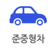 준중형