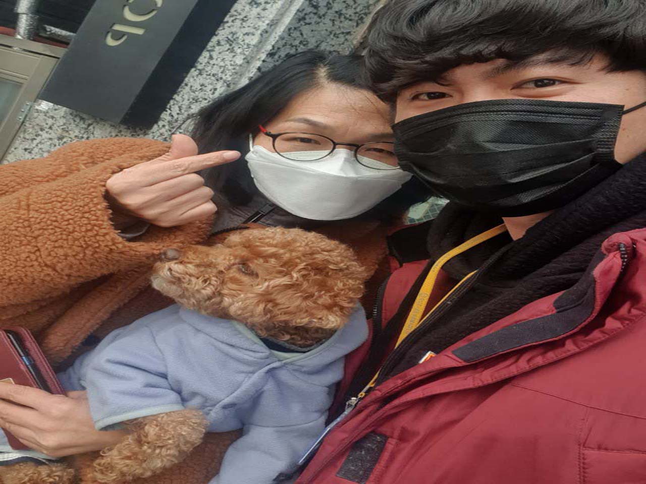 가족과 타기 좋아 선택한 올뉴투싼 중고차